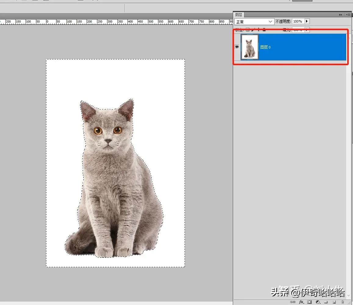 photoshop第一课魔棒工具,ps入门基础教学套索工具