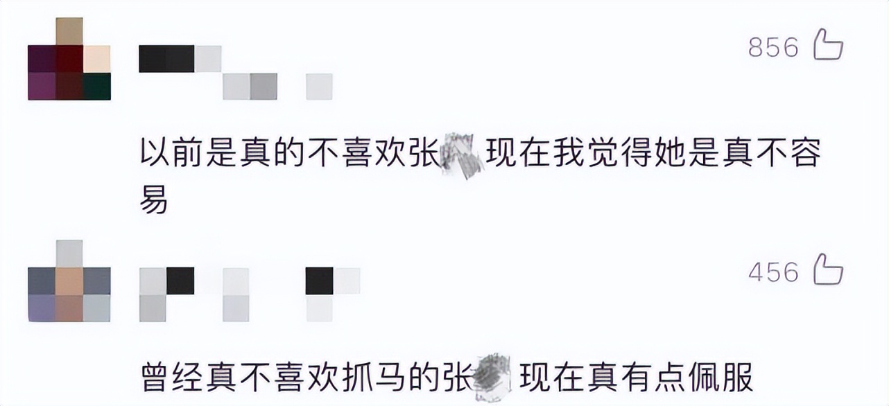 大s人品好不好,大s现在在台湾圈里口碑