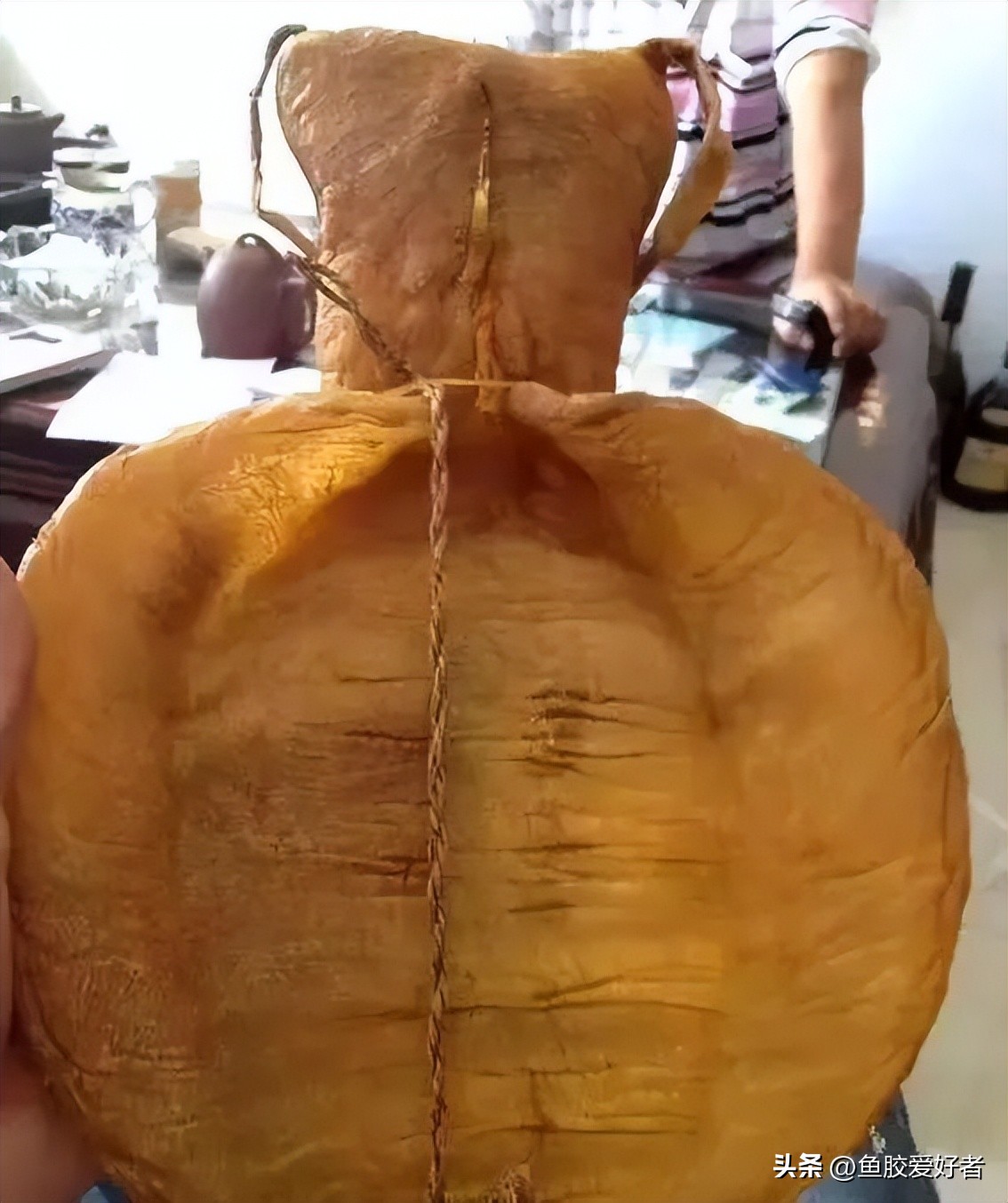 怎么买鱼胶便宜又好用的,买鱼胶什么牌子正宗