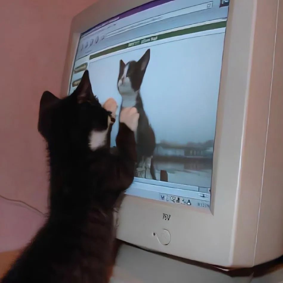 朋友圈背景图视频,朋友圈背景图怎么设置动态视频