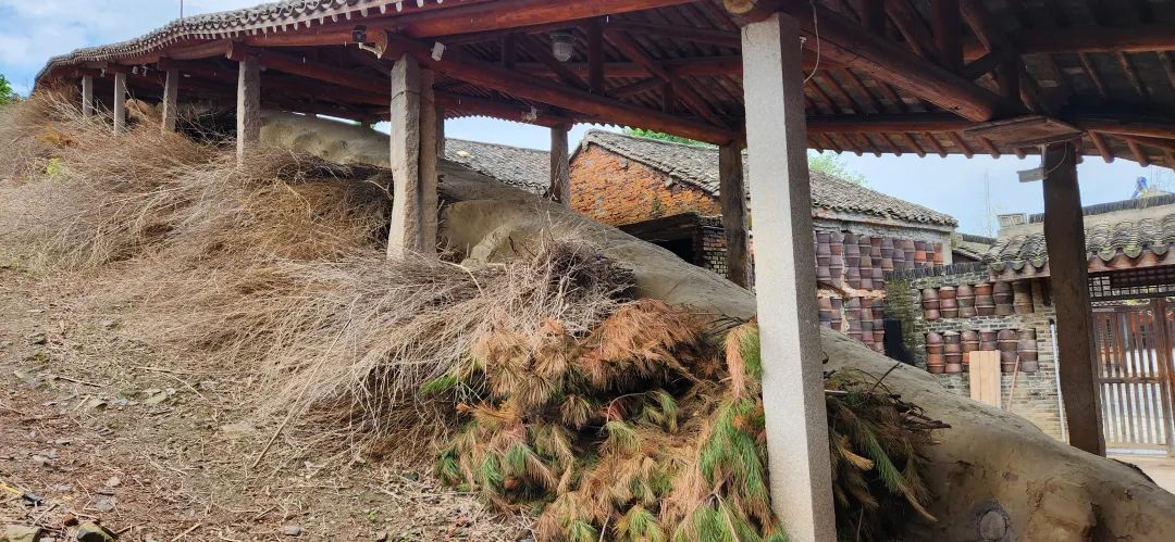 我去竹林避暑了，夏天过完再通知我！