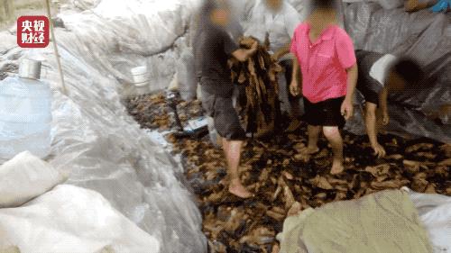 2020食品行业大事件,2021食品大事件