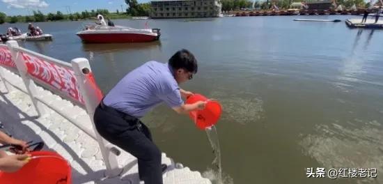 鲟科鱼类联合增殖放流,鲟鳇鱼苗放流