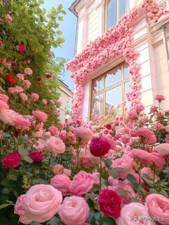 抖音热门文案爱情配图伤感,情感语录抖音配图文案