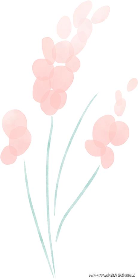 预订景区门票优惠活动,限时福利门票加一元畅游一整年