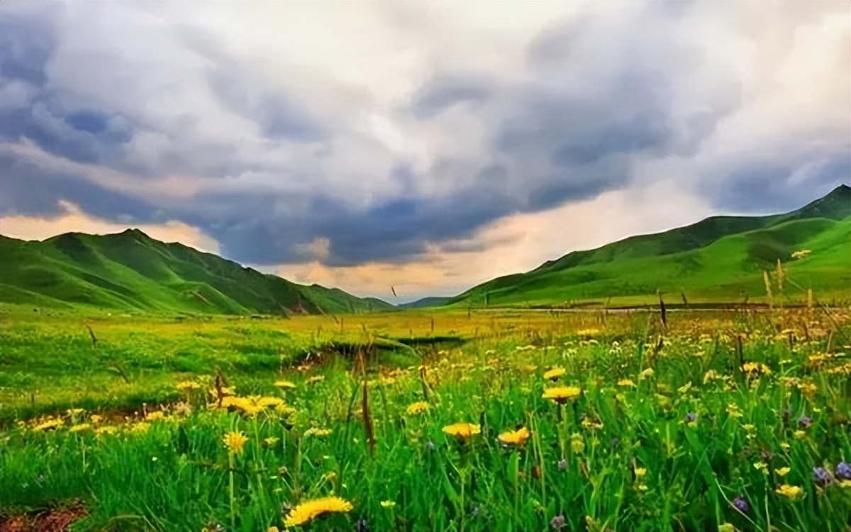 四川最美草原—若尔盖草原欣赏