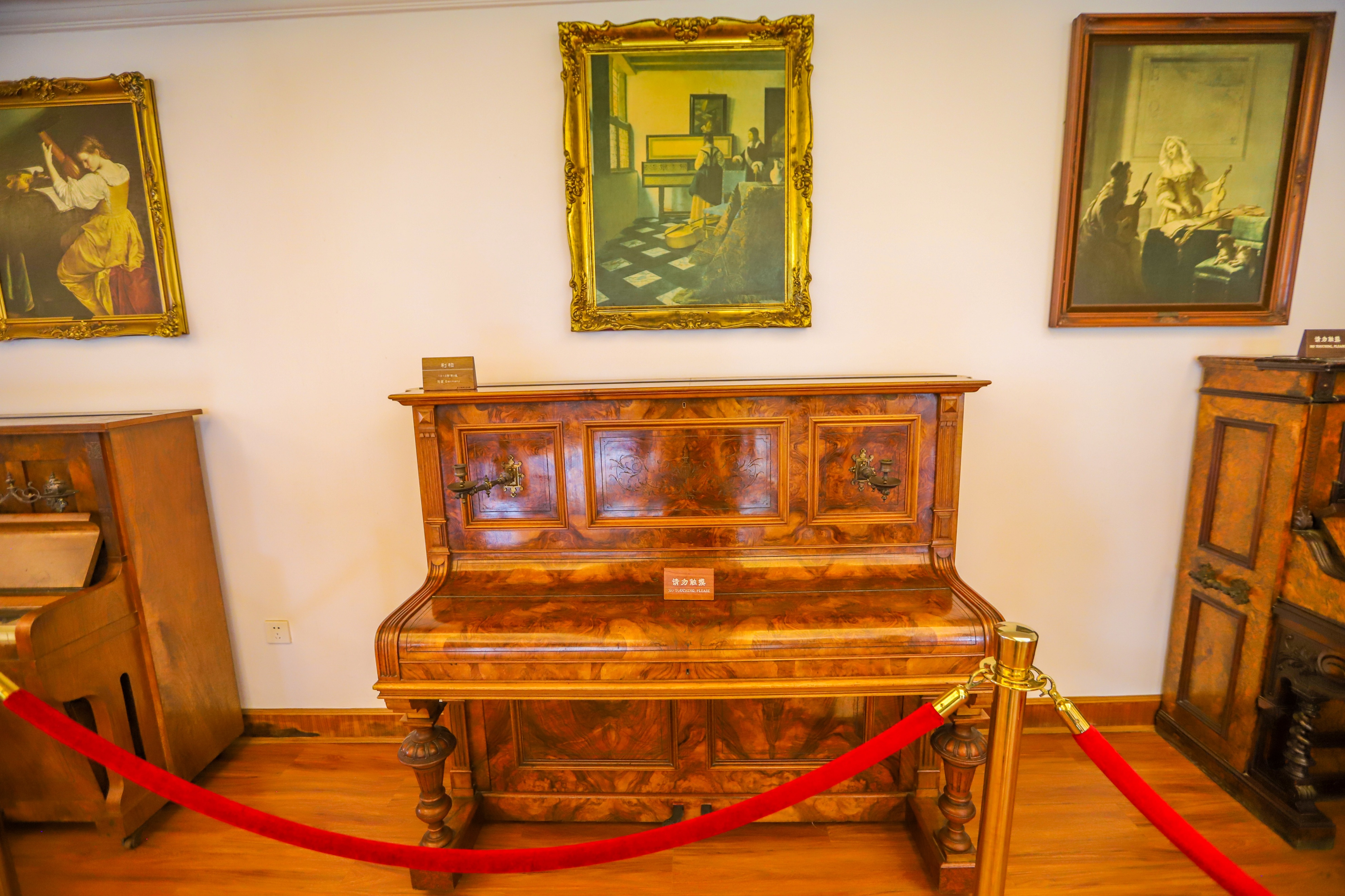 厦门旅游攻略游轮旅行路线推荐,厦门邮轮旅游攻略大全最新