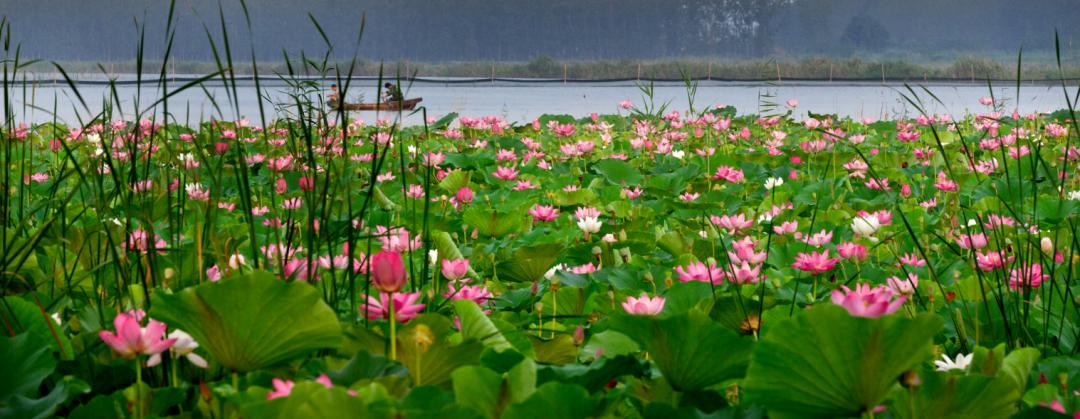 2023县域旅游百强榜各省份排名,2021县域旅游100强排行榜