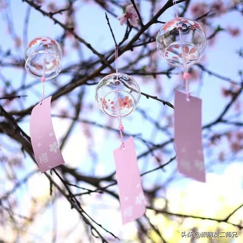 广州花都梯田油菜花,广州徒步赏油菜花路线