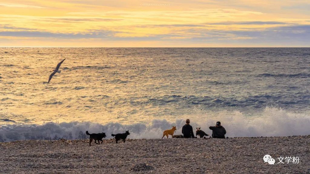 生日文案文艺高级简短,茶文案高级感温柔治愈