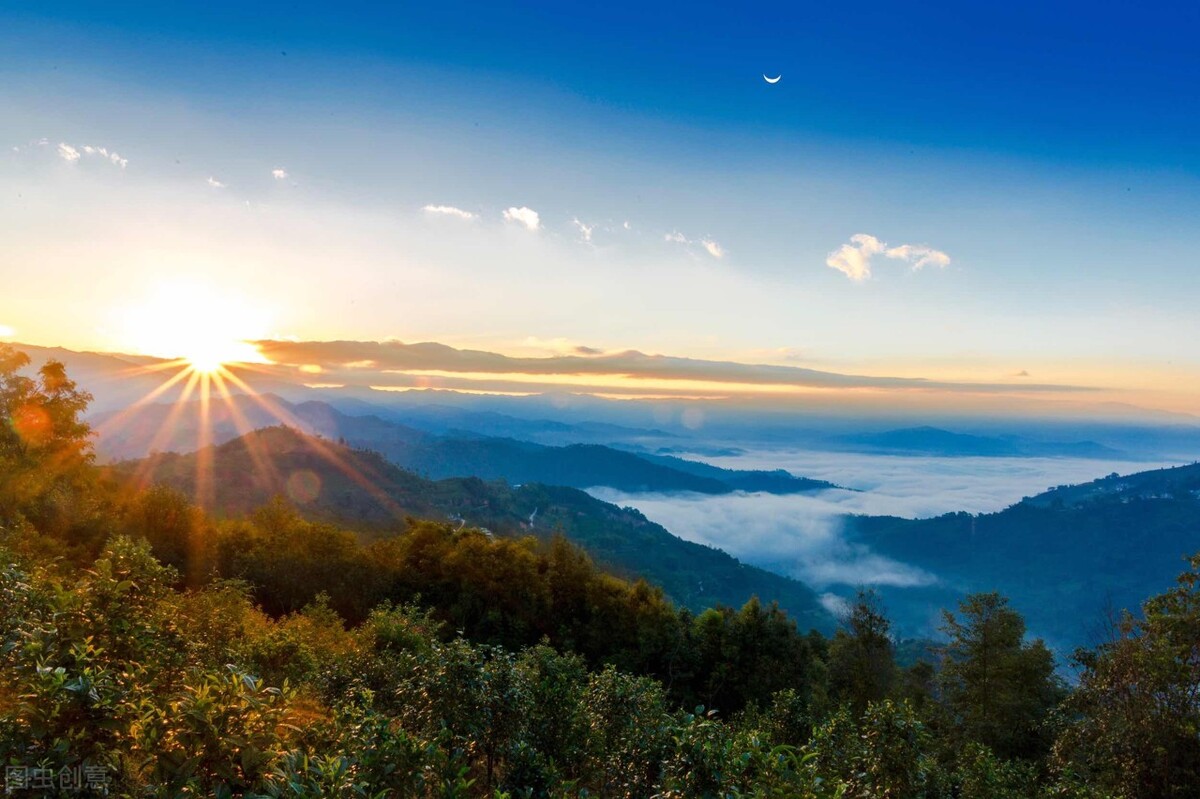 被人算计后最聪明的做法,被人算计了怎么说话