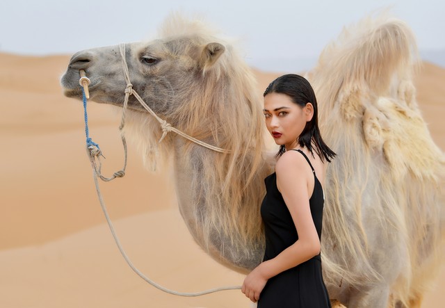文学评论精短范文赏析,文学评论的内涵