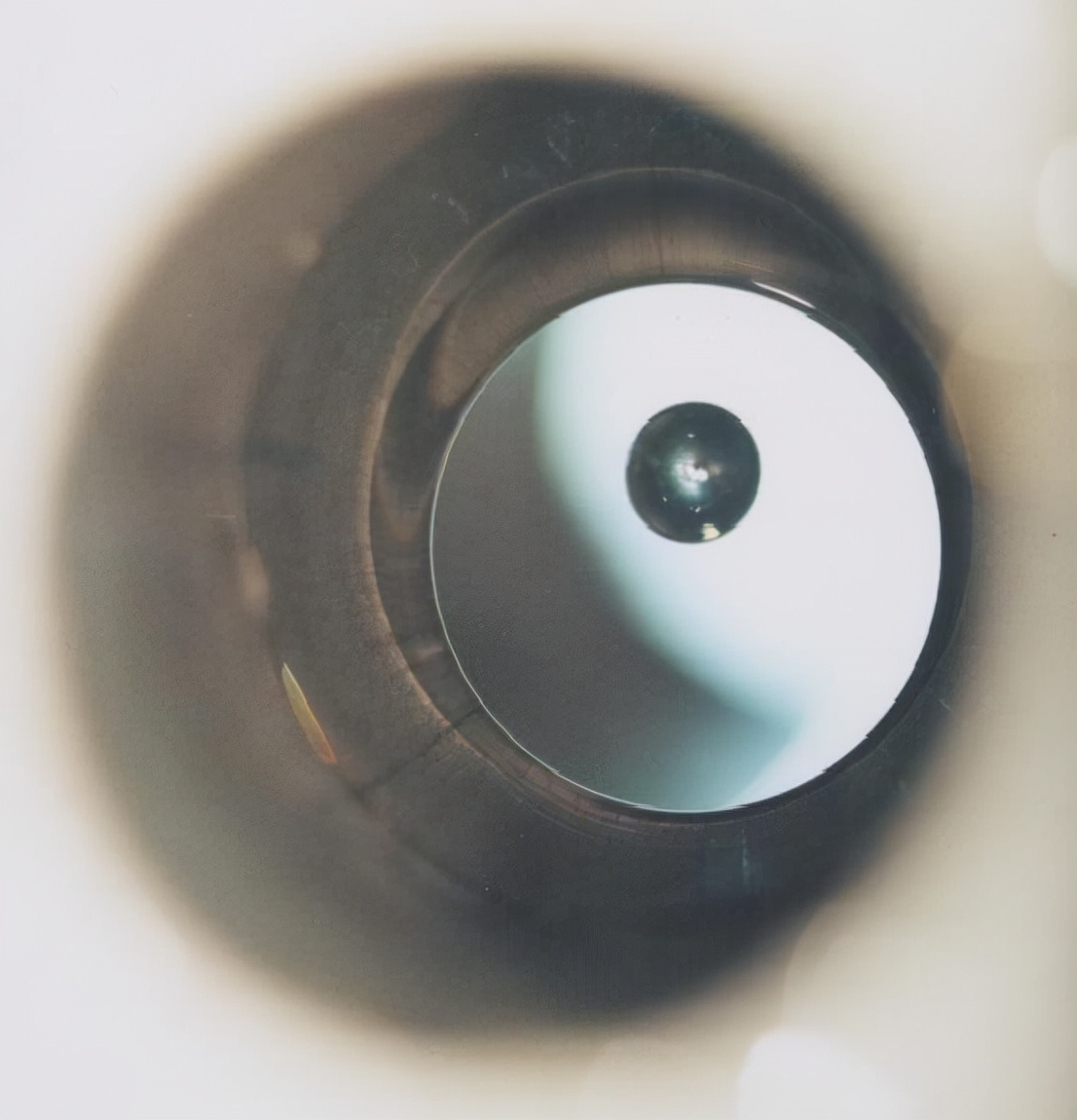 把人放进强磁场中会怎样?科学家用青蛙做实验,得到一只反重力蛙