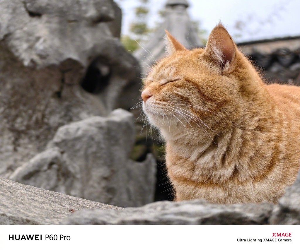 带华为p60看演唱会,带几个华为p60去日本