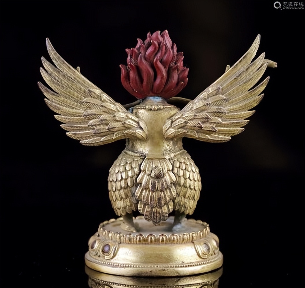 金翅鸟图像分析,金翅鸟视频大全