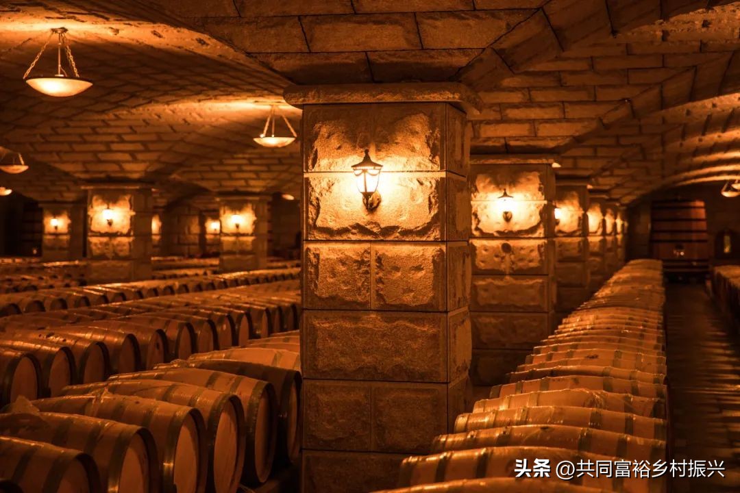 2023年全国乡村振兴优秀案例,乡村振兴典型案例5000字材料