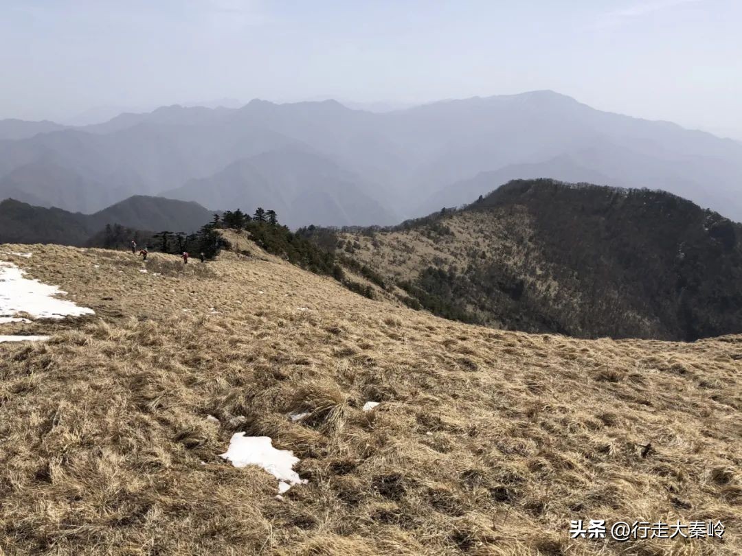 首阳山穿越大坪梁景色怎么样,大坪梁穿越到首阳山攻略