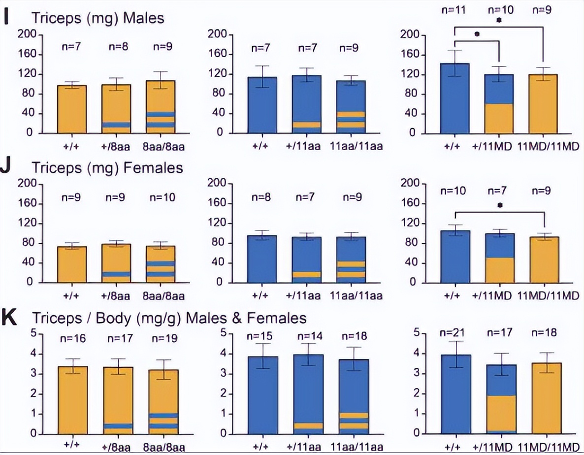 探究GDF11和GDF8氨基酸替代对骨骼发育相关信号通路的实用性研究