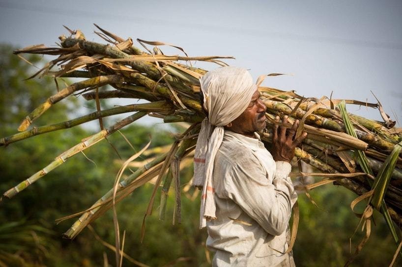 印度无子宫真实现状,印度切除子宫是怎么回事