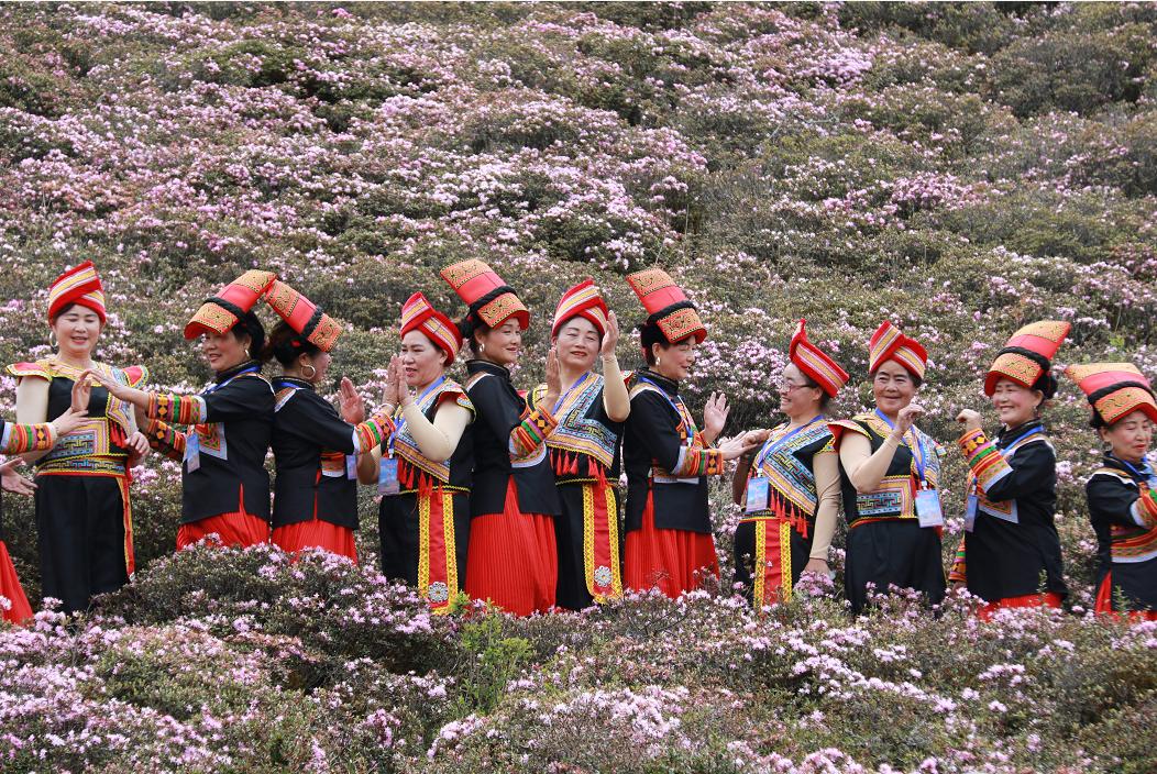 【轿子山文化旅游节】云南·禄劝2023年轿子山文化旅游节最全攻略来啦（图文版）！