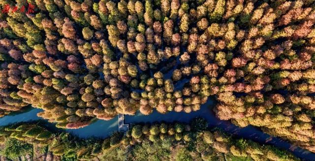 遗落人间的十大景点,广东隐世秘境旅游攻略