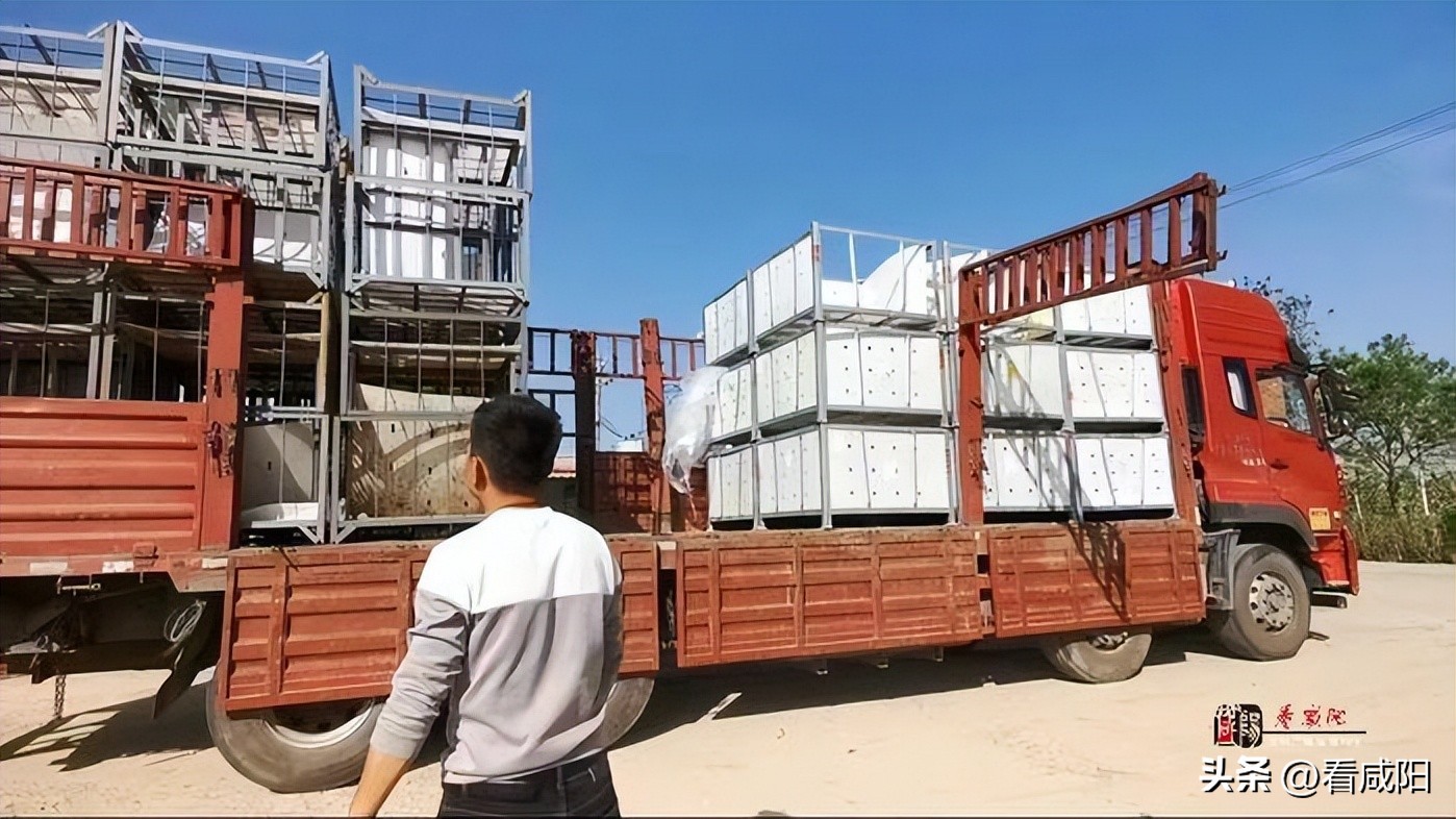 彬州市苹果产业,彬州苹果