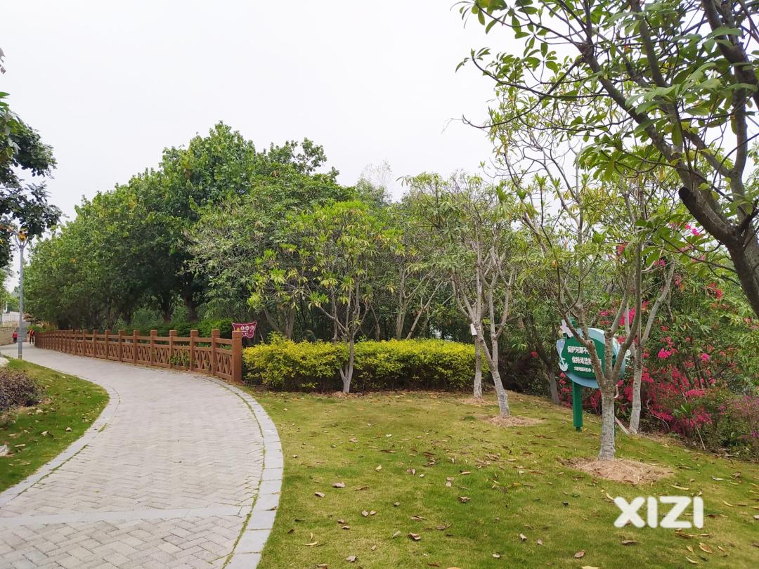 惠州十大绿道景点,惠州绿道好去处推荐