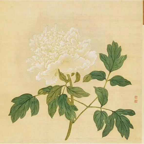 蒋廷锡牡丹画法,蒋廷锡百种牡丹画法