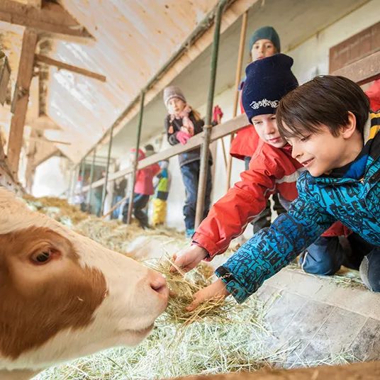 和朋友聊完我对华德福的看法，我被拉黑了……