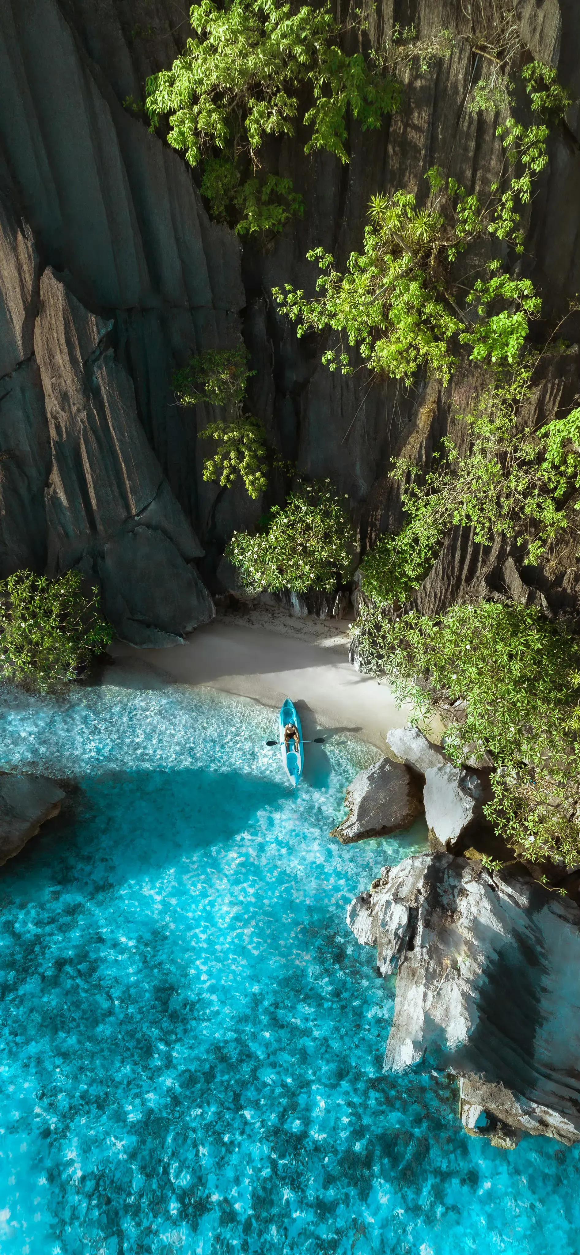 高清全面屏手机壁纸,米奇壁纸高清全面屏