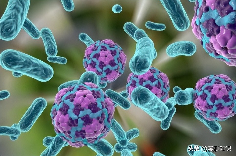 不同地区的细菌性脑膜炎发病率差异性很大，发达国家低，而非洲高