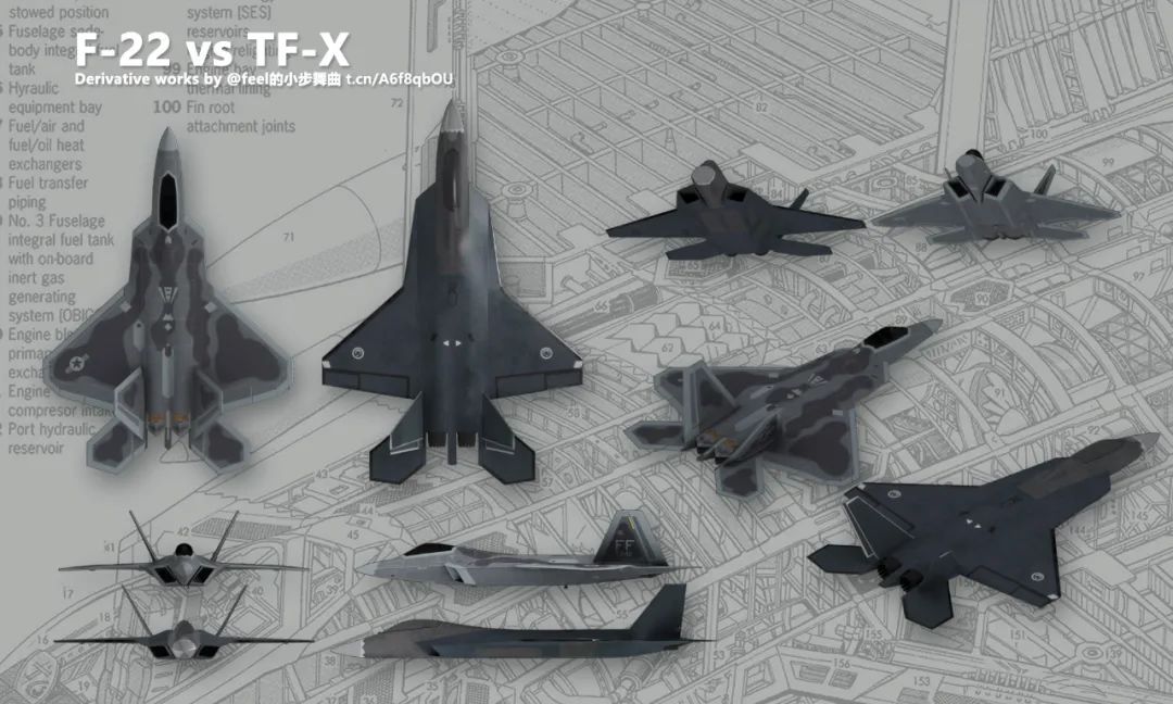 巴基斯坦看歼20c的反应,巴基斯坦内政部长讲歼20c