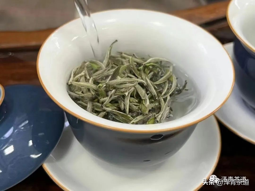 假期结束无心上班？这样喝茶帮你甩开疲惫，大展宏兔，前兔无量！