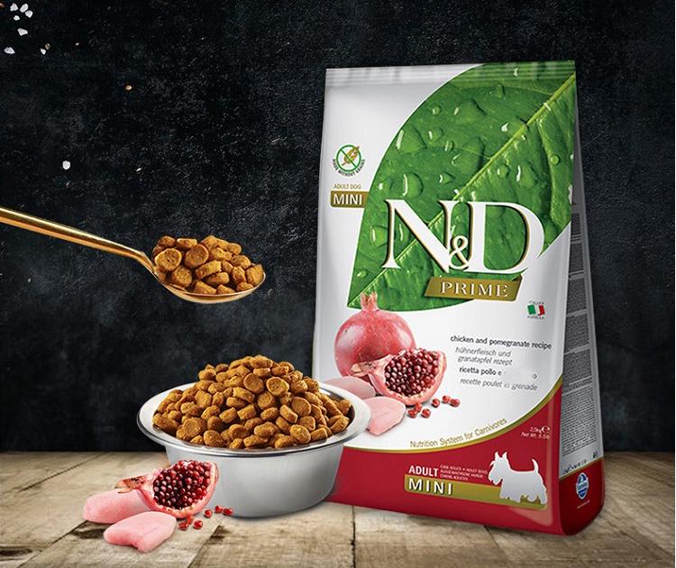 狗粮哪个品种最好,什么狗粮最好养又便宜