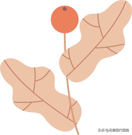 @石狮女性！意外来临怎么办？关于人流手术看这一篇就够了