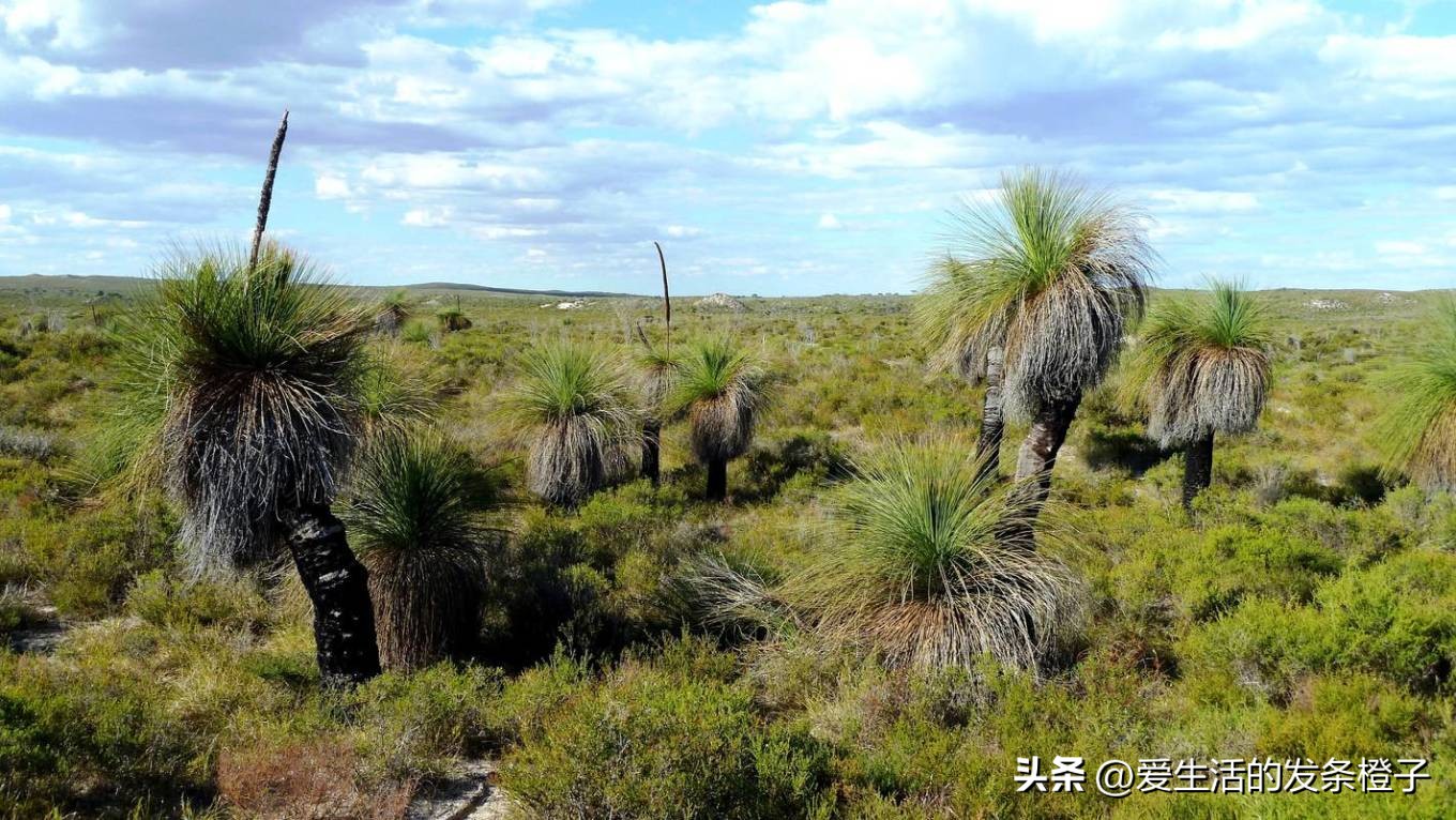 一路向北全程1980公里,西澳自驾游最佳路线图