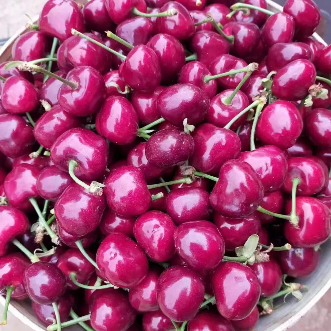 适合夏天吃的水果科普,夏天必备好吃的水果有哪些