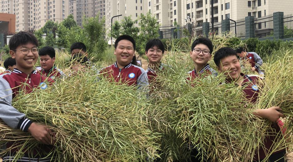 【未成年人思想道德建设】立德树人务实笃行--巩义市子华初中再次斩获郑州市级荣誉！