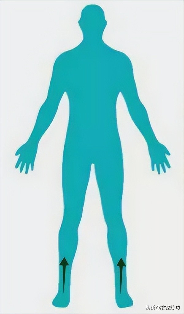 站桩内功解密视频,科学解密站桩