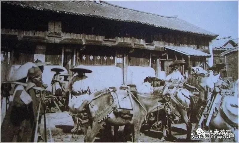 茶马古道茶叶铁盒价格,茶叶溯源之旅