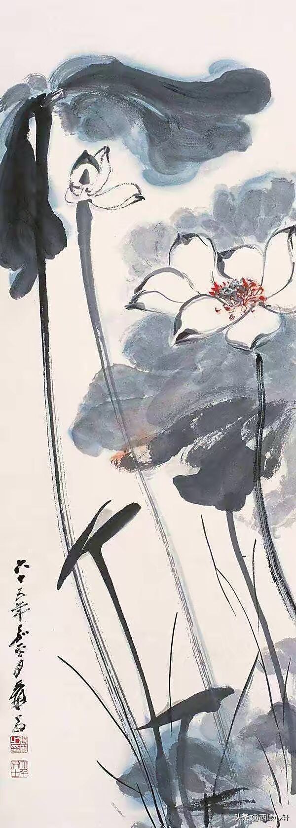 接天莲叶无穷碧映日荷花图片大全,莲叶无穷碧映日荷花别样红三幅图