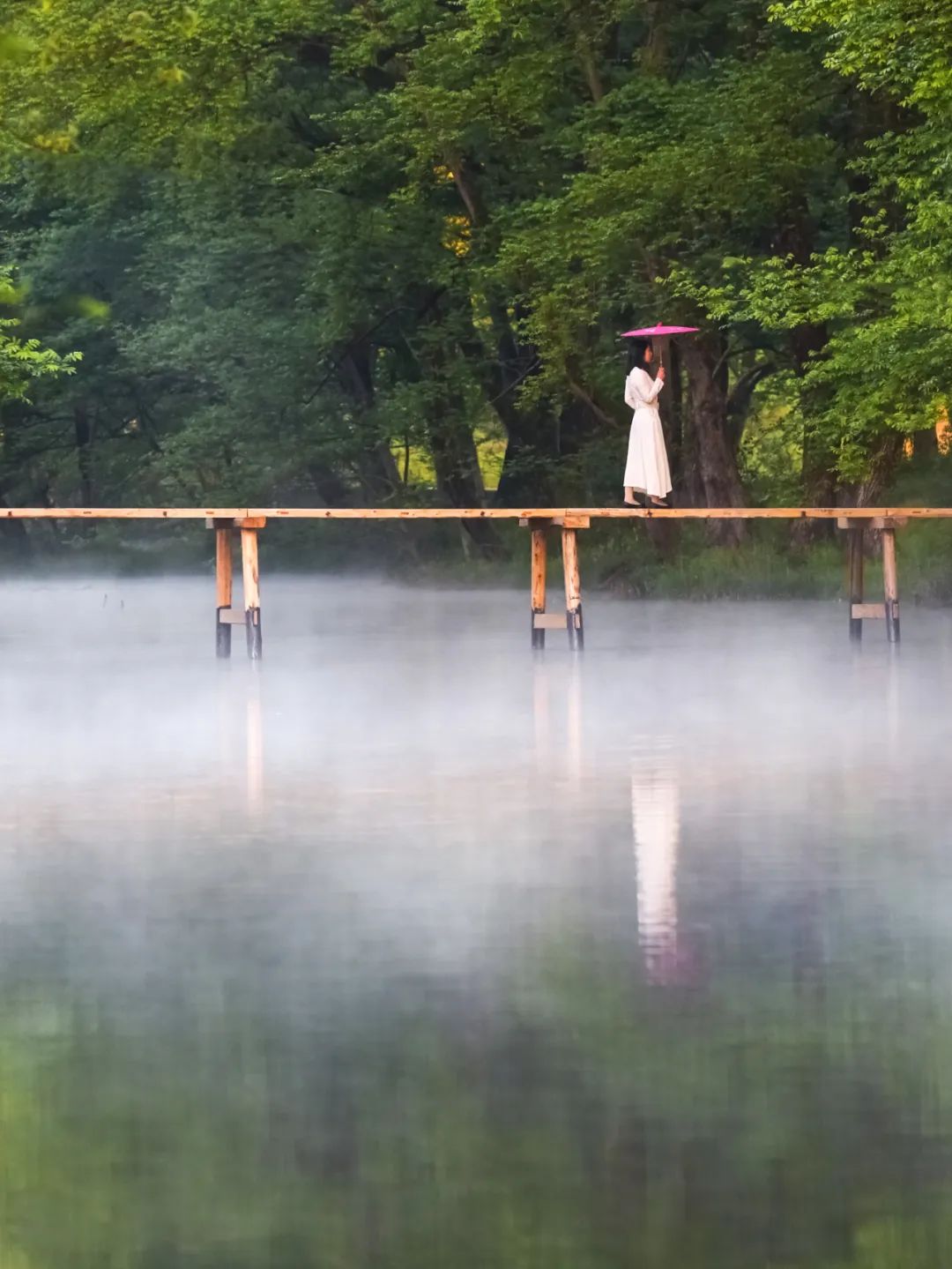 安徽黄山市旅游攻略推荐,黄山市夏季旅游线路攻略大全最新