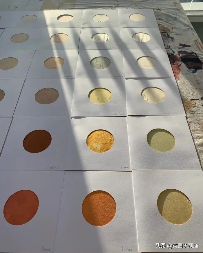 2020年切尔西花展抢先看,2023年切尔西花展