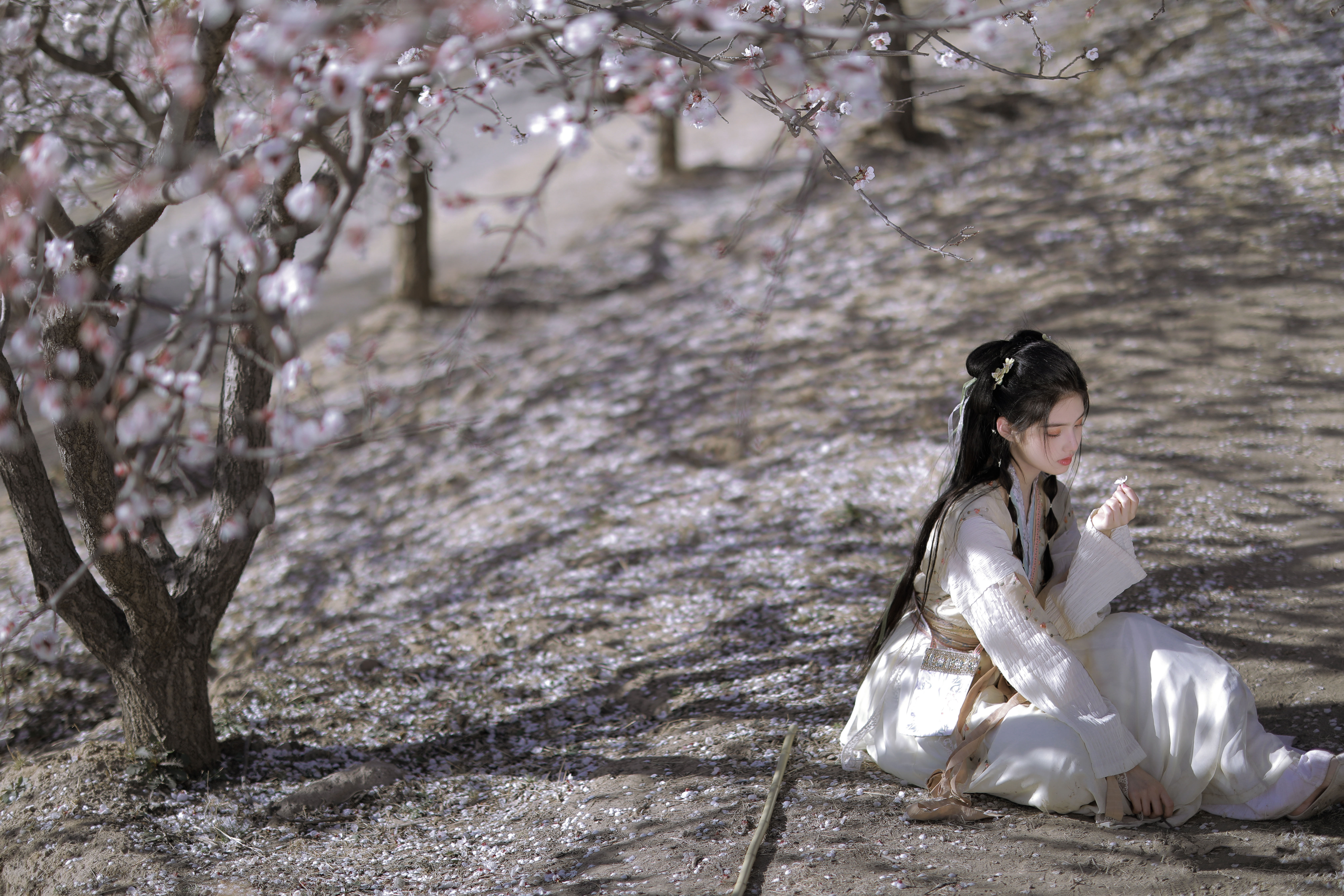 国风如画,国风汉服写真