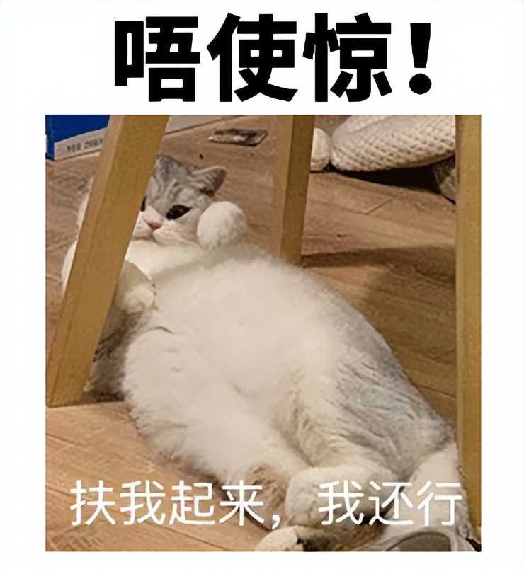 体检发现有息肉，离癌症还有多远？我彻底方了...