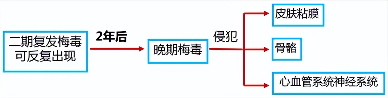 梅毒的病因和起源,梅毒的起源病因及症状表现