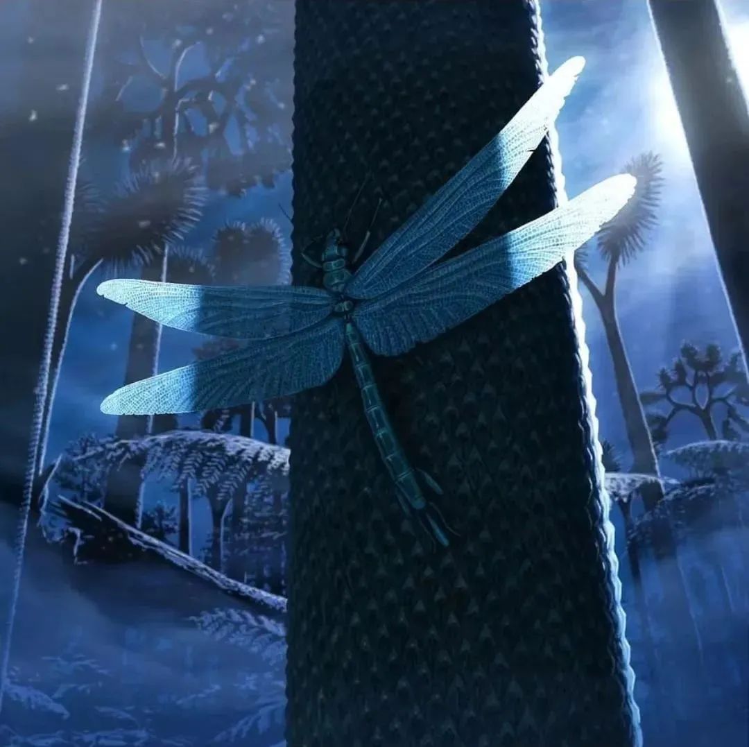 地球简史书籍完整版,地球简史46亿年的奇迹