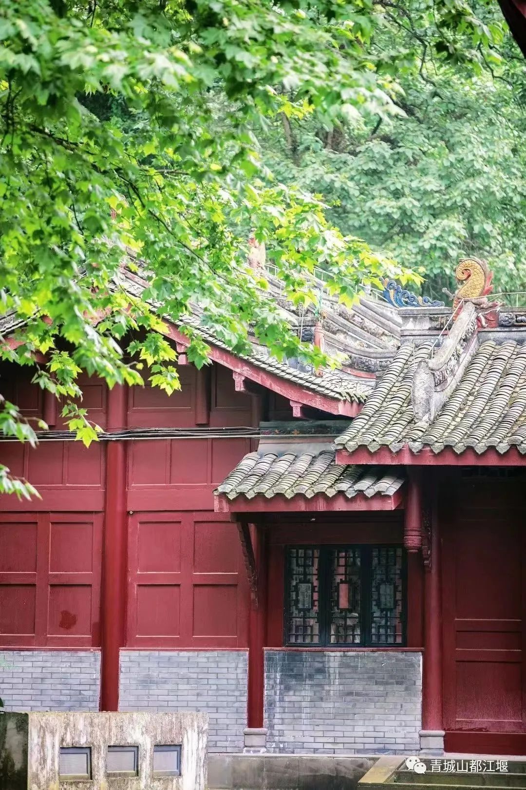 拿走不谢！这份都江堰“懒人版”旅游攻略，不爬山、不扎堆，还能打卡明星同款，赶快行动吧~