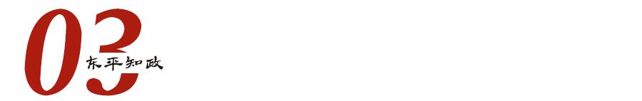 佛山市东平新城城市规划,东平区域变革