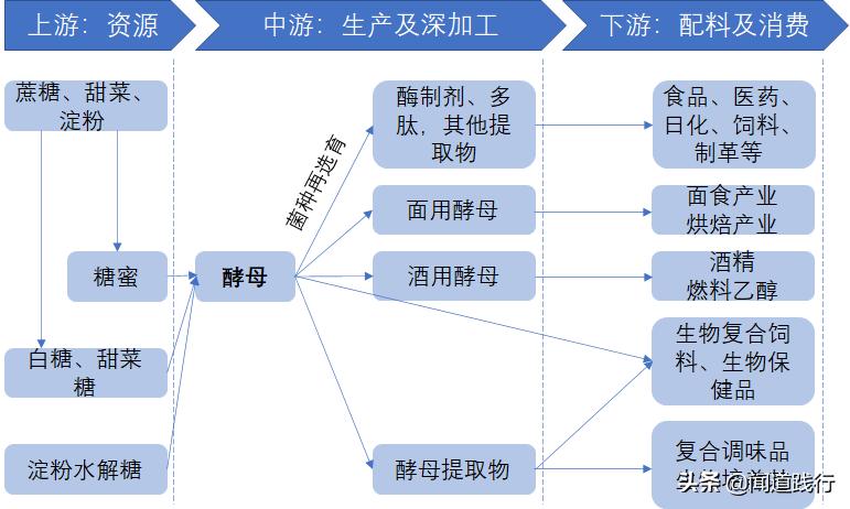 安琪酵母前景,安琪酵母值得持有吗